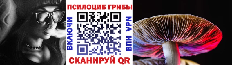 Псилоцибиновые грибы прущие грибы  Николаевск-на-Амуре 
